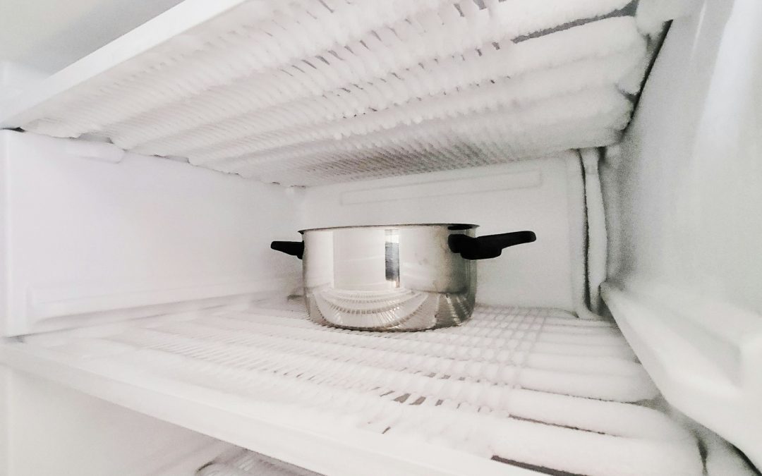 Expanding Your Cold Storage: Why Your Home Needs a Standalone Freezer